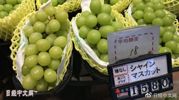 业内人士解析，葡萄不存在日本进口情况