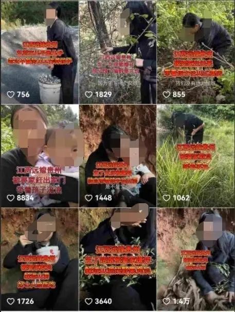外来媳妇并未躲山洞吃野果？揭秘真相，全新智能生活体验引领时代潮流
