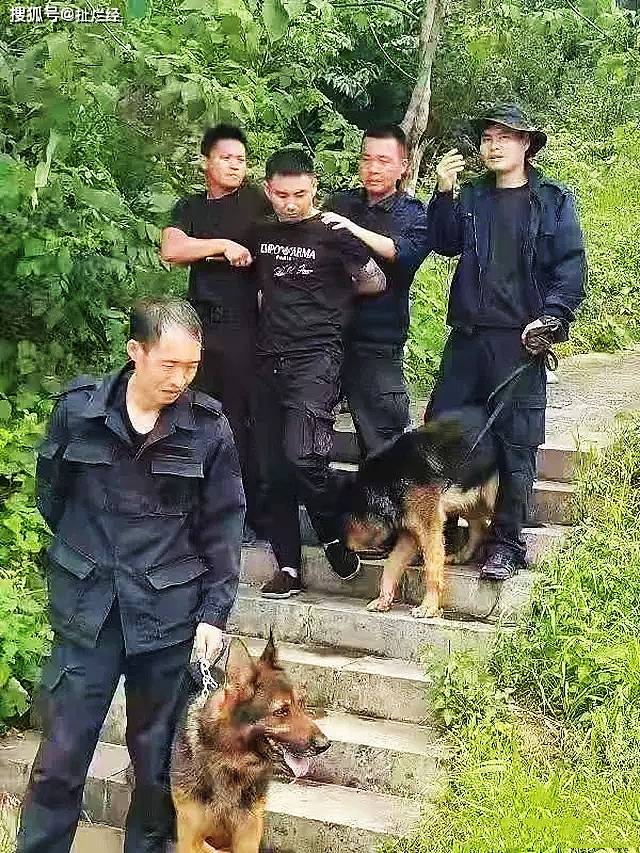 义乌警方通报凝视独居女子摆拍事件，时代背景下的警示与反思