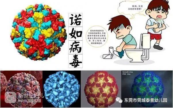 诺如病毒感染高发季知识科普，预防与应对指南