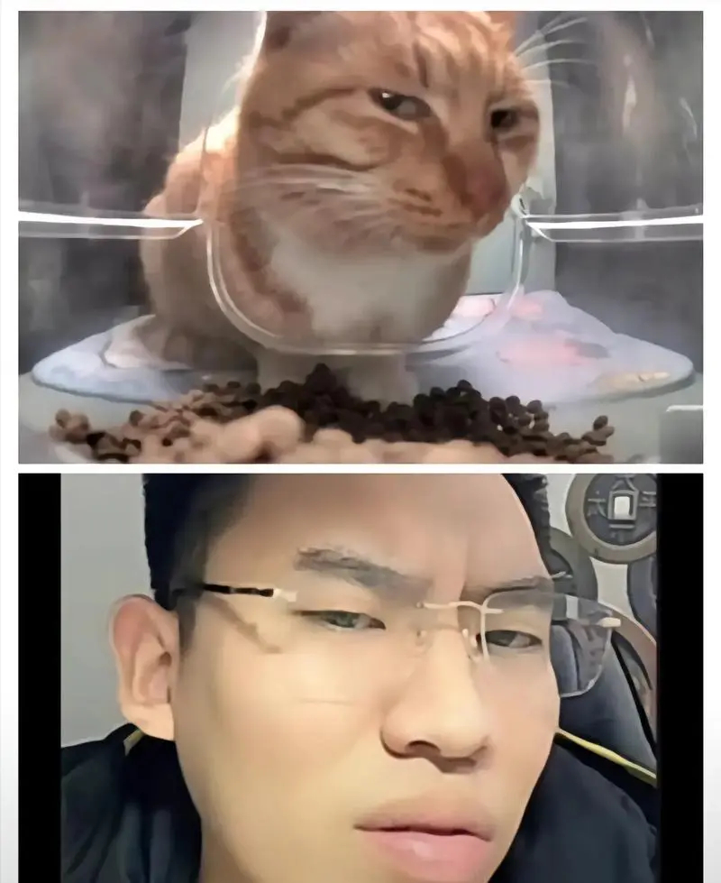 第6802页