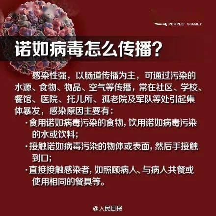 诺如病毒感染高发季知识科普，预防与应对指南