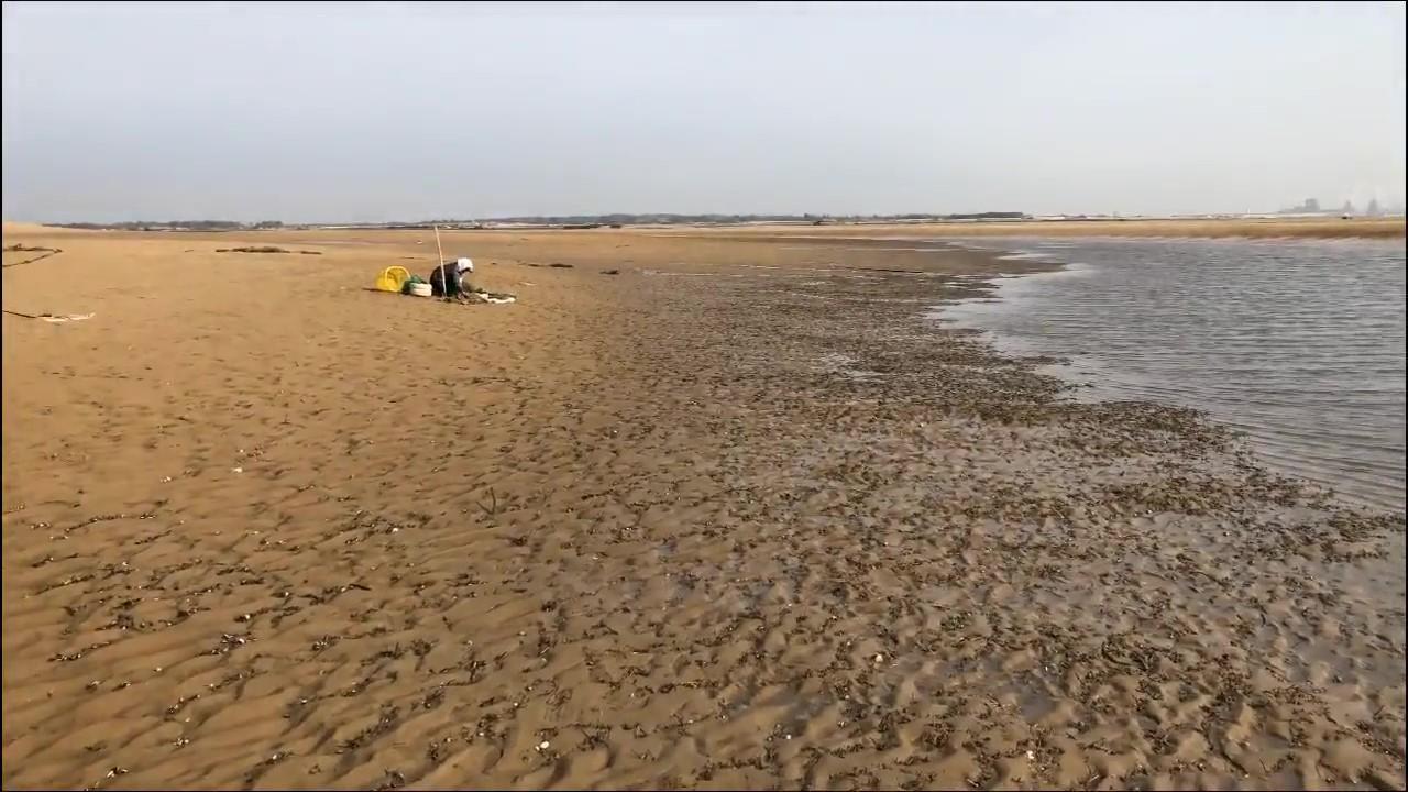 爸爸海滩撒花蛤之旅，探索自然之美，心灵平静之旅