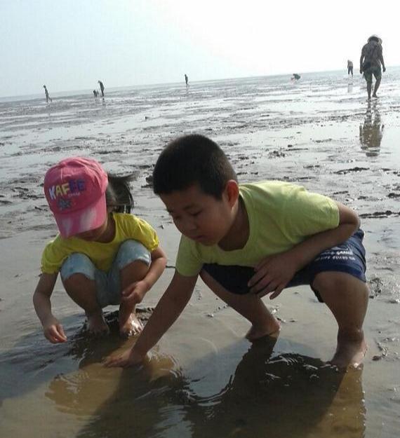 海滩撒花蛤的奇妙之旅，小巷美食与海滩的惊喜相遇