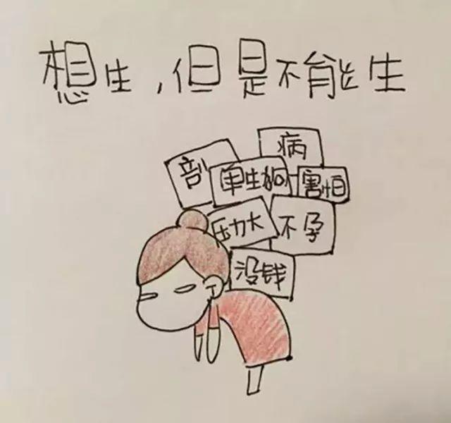揭秘不想生、不敢生的背后原因，深度分析与励志之路的探寻