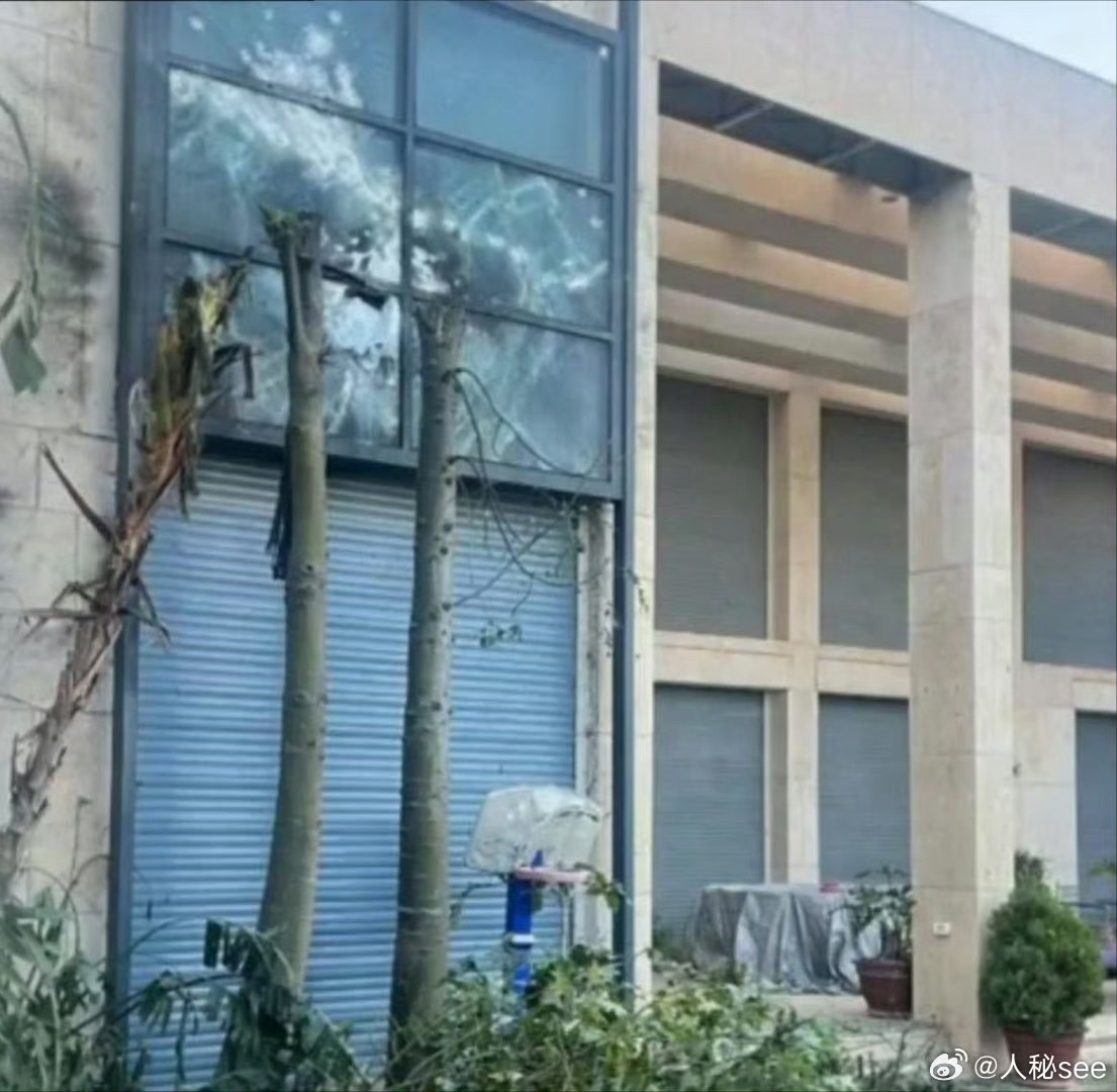 管家婆的资料一肖中特_以色列总理住宅遭黎无人机袭击,数据支持设计_zShop18.34.13