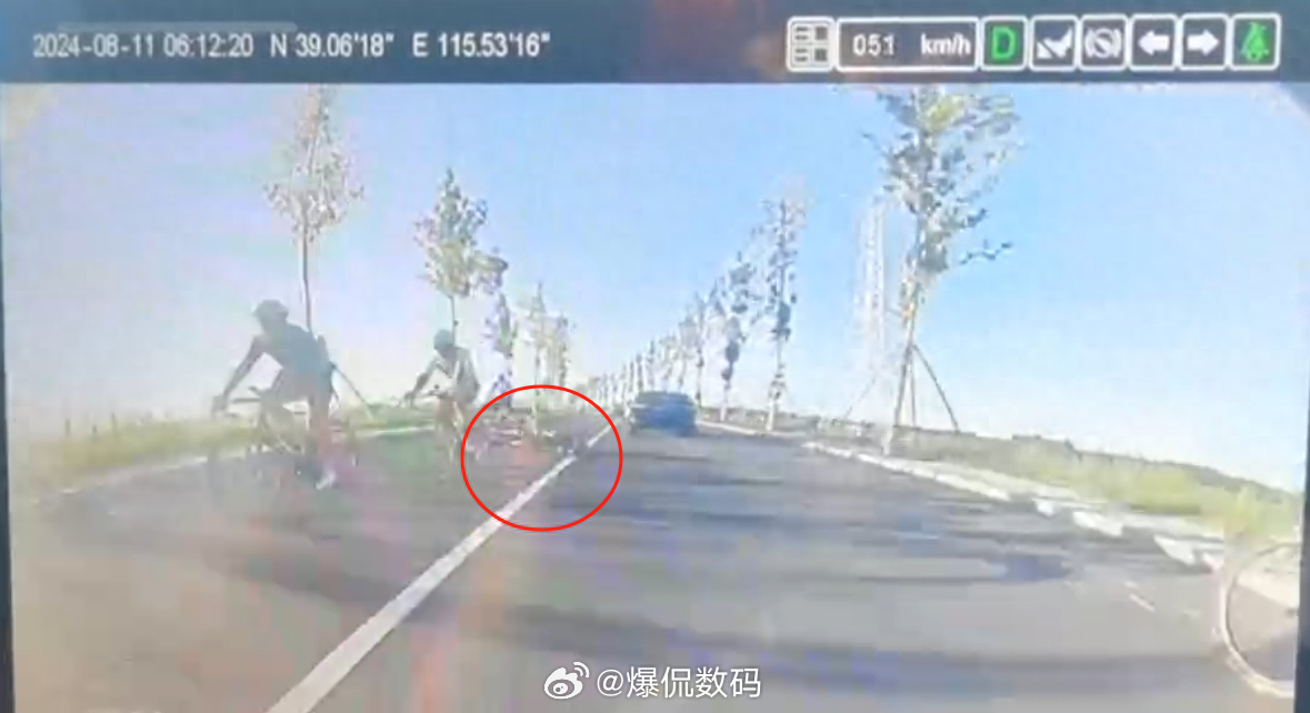 澳门今晚必开一肖一特_男童骑行遭碾身亡俩月后家属首发声,全面设计执行策略_Nexus65.84.83