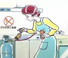 2024年新澳门王中王开奖结果_厨房液化气泄漏爆燃母子被烧伤,系统评估说明_网页款19.47.70
