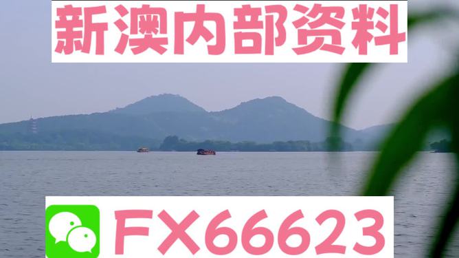 新澳2024年最新版资料_今日关注最新一期,时代资料解析_超级版58.24.85