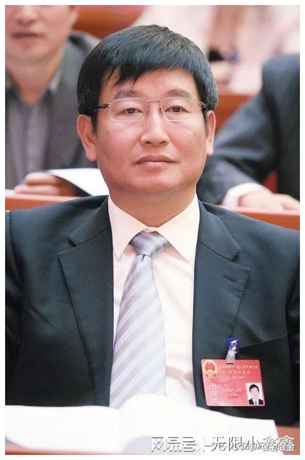 市委书记被查，权力监督与治理体系的反思——曾任落马省委书记秘书的背后故事