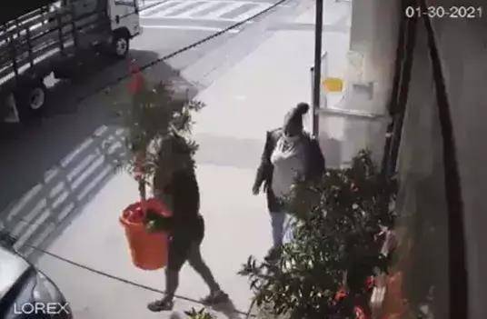 智能安全卫士下的挑战，老人撞人事件与女子阻拦被咬事件揭示的社会安全挑战