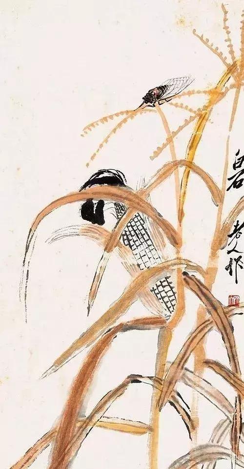 老人拾玉米被打致死伤事件揭秘，当地回应与拾玉米背后的故事