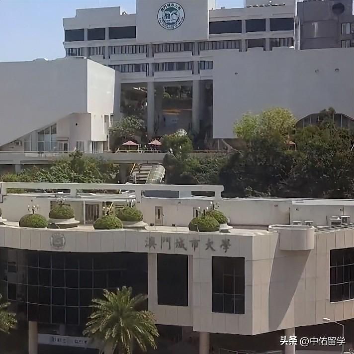 2024新澳门原料免费大全,数据设计解析整合_配件包58.015
