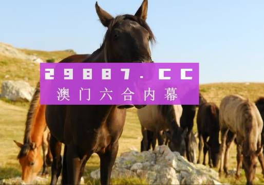 第6275页