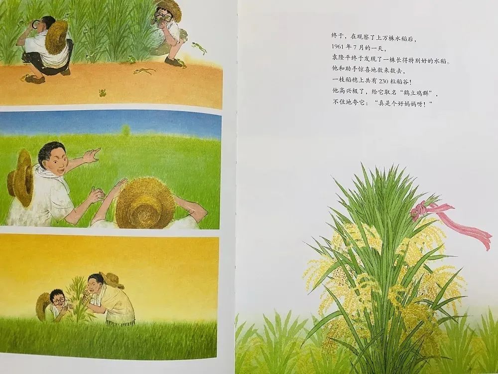 哀牢山发现珍稀鸟类，全球仅千只，探索之旅揭示自然力量与魅力