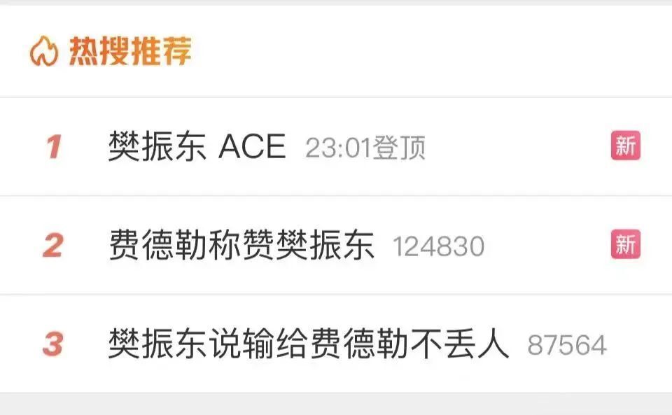 樊振东乒里乒气打网球，从初学者到进阶用户的技能提升全攻略