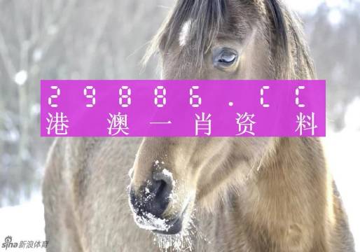 澳门一肖一码100精准,公开,快速解答方案设计_IYT99.335传承版