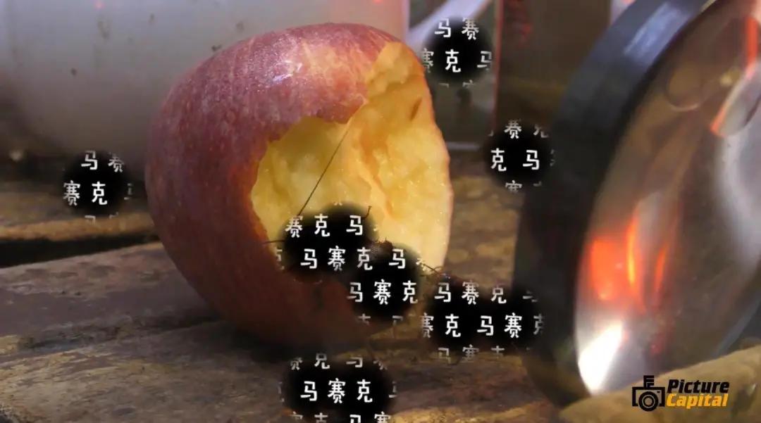 精准一码免费资料大全,深度评估解析说明_VE版77.180-2