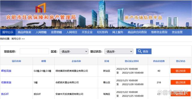 新澳开奖结果资料查询合肥,可靠执行操作方式_RXH9.686传统版