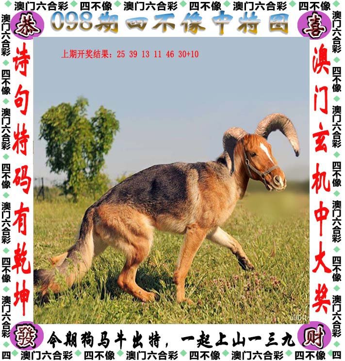 2024最新奥马免费资料四不像,数据引导执行策略_MYL83.553策展版