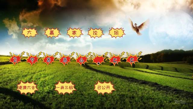 494949澳门今晚开奖什么,目前现象解析描述_供给版86.771