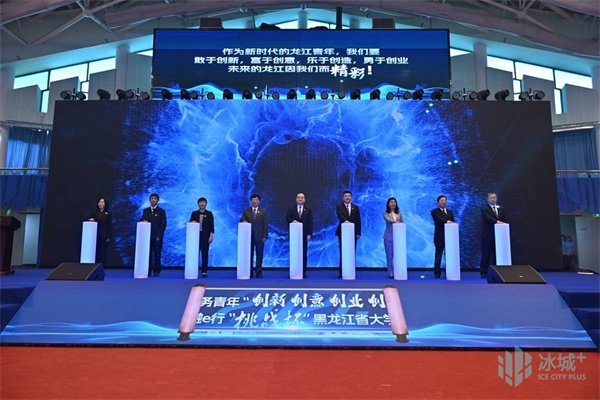 新奥门特免费资料大全火凤凰,完善实施计划_竞技版90.795