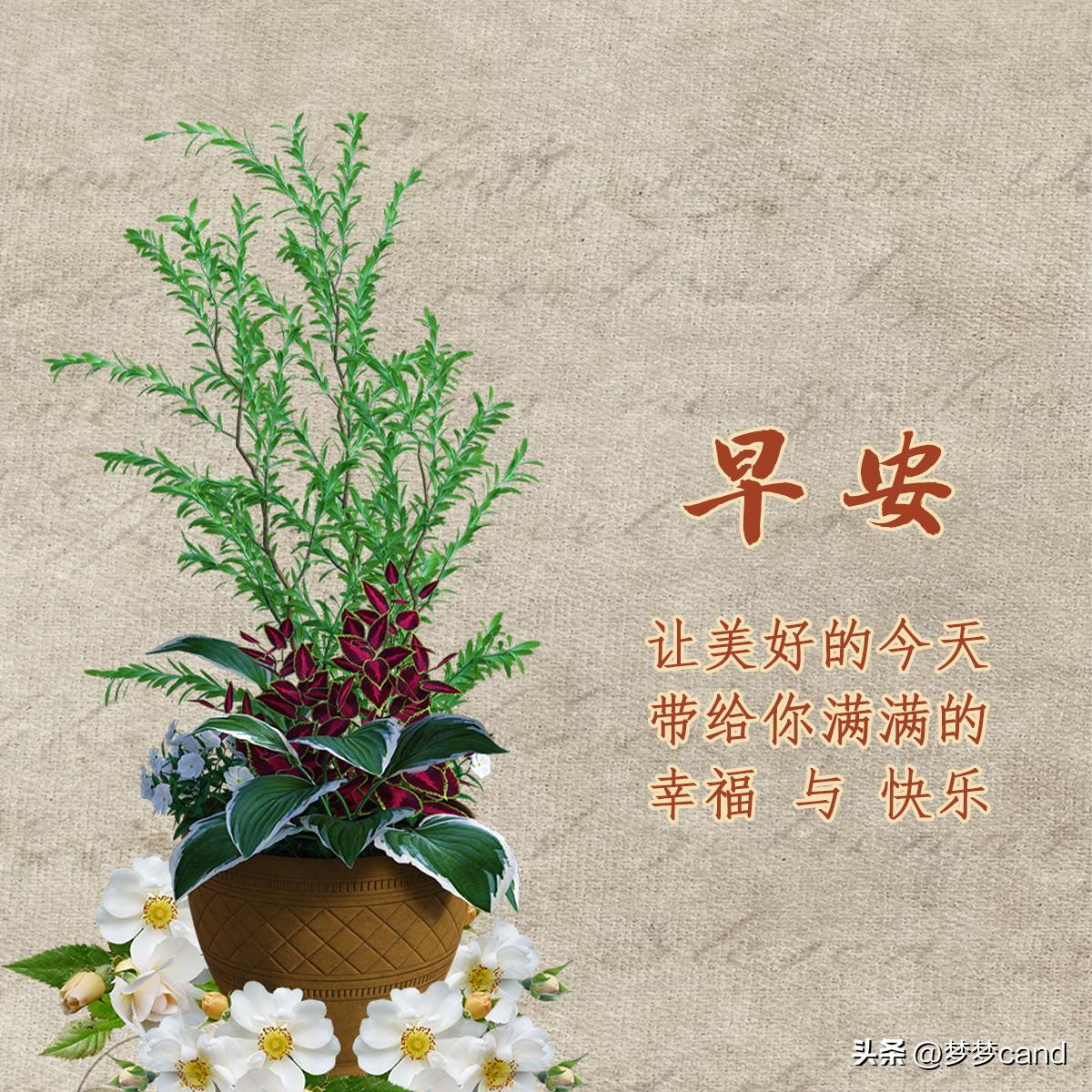 未分类 第19页