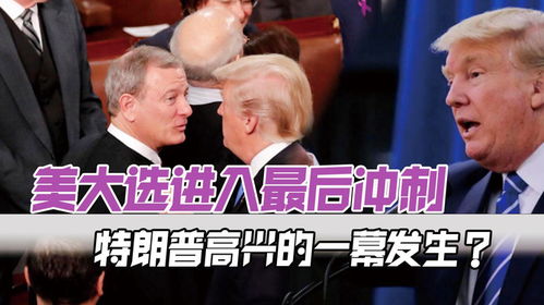 美国大选最新结局揭晓