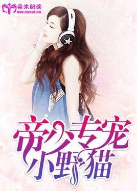 七喜小说最新，日常趣事与情感纽带连结成精彩篇章