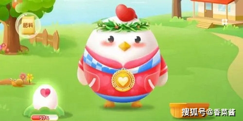 庄园小鸡今日答案揭秘，智慧之门的钥匙开启！