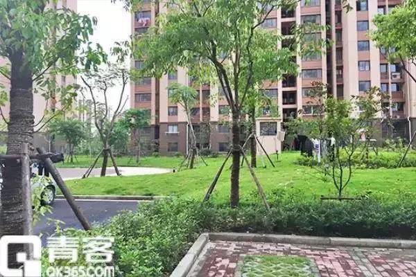 绿园最新房源，理想居住首选之地