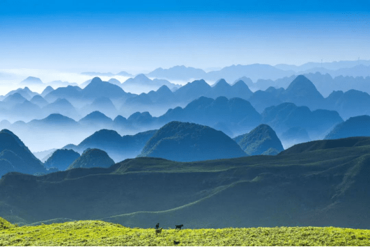 小七学伴带你探索自然美景，寻找内心的平和之旅