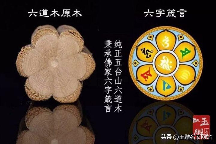 「小红书揭秘，六道木手串价格魅力」