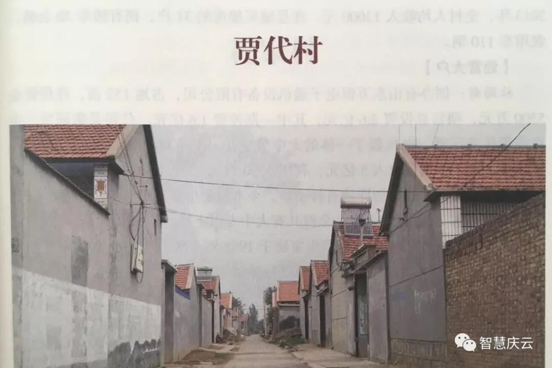 贾姓小品演员的魅力世界探索