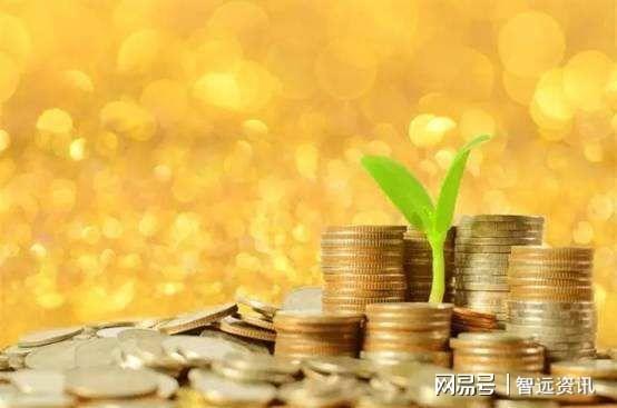 上市公司分红机制，金融盛宴中的收益甘泉