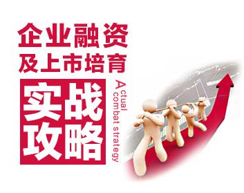 企业上市融资之旅，探索爱与陪伴的冒险之路