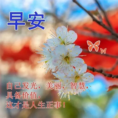 最新早上好图片，视觉问候的力量与影响