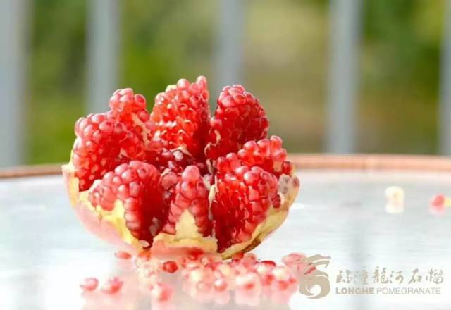 揭秘草熘1024最新地址独家曝光！