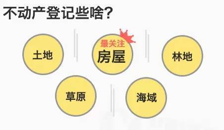 A1司机招聘信息详解与个人立场分析