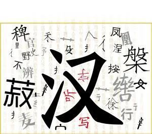 最新汉字发布，探究其在当代社会的位置与深远影响