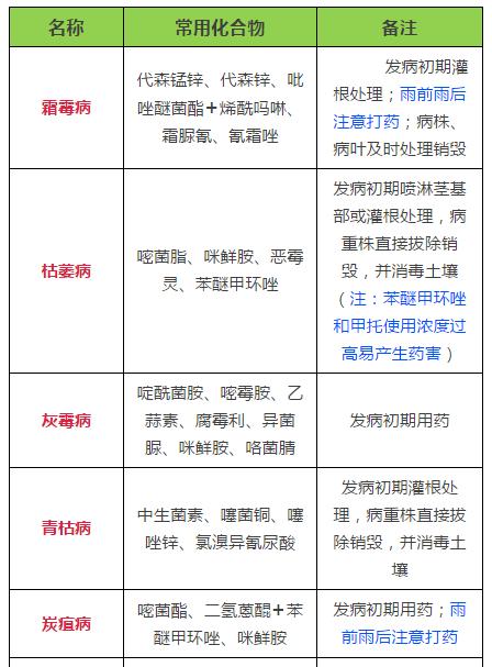 第239页