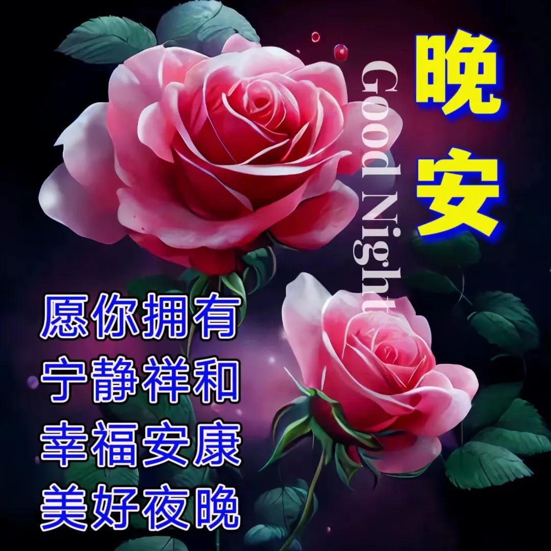 最新祝福图片，传递温馨的祝福与问候的问候美图