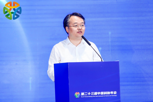 杨宇青春篇章新篇章，多元视角下的个人成长探索