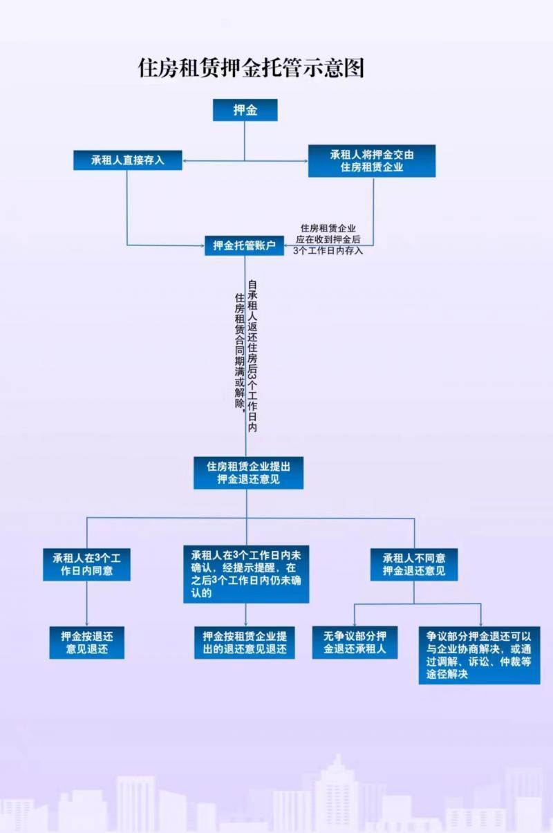 泊头租房指南，最新资讯与全流程解析