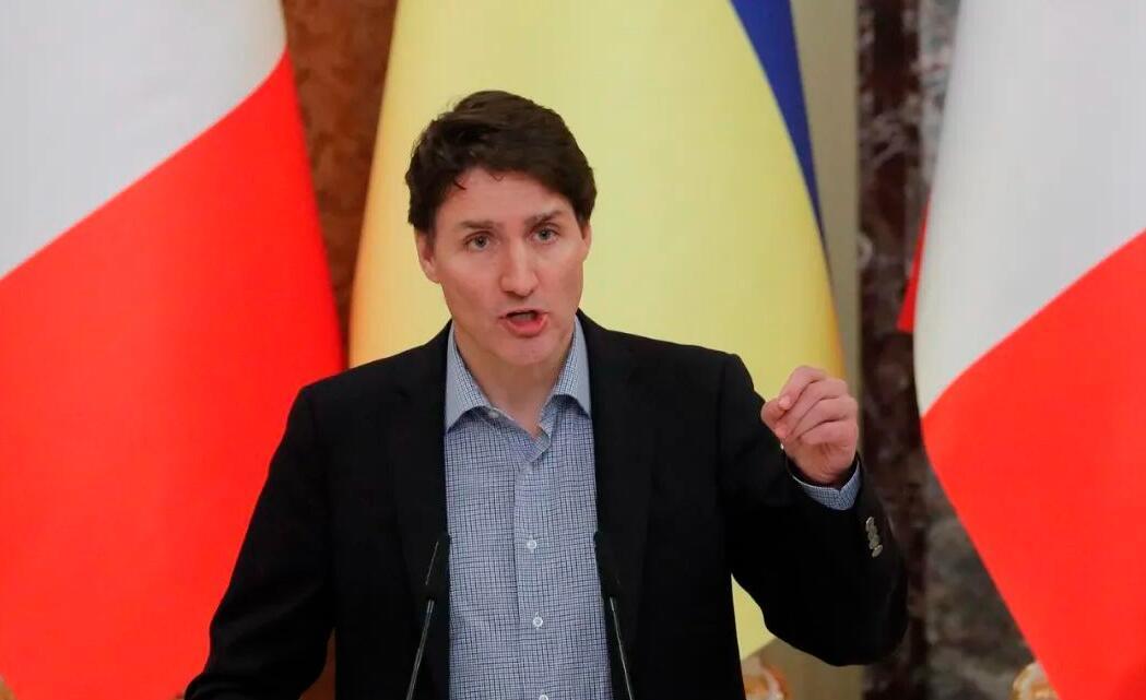 总领馆最新动态，掌握最新信息的步骤指南与深度解析