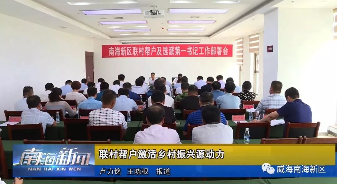 南海新闻最新动态，多元视角的审视与解析报告