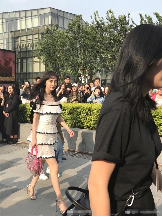 最新智能手机排行，变化、学习与自信的力量展现风采