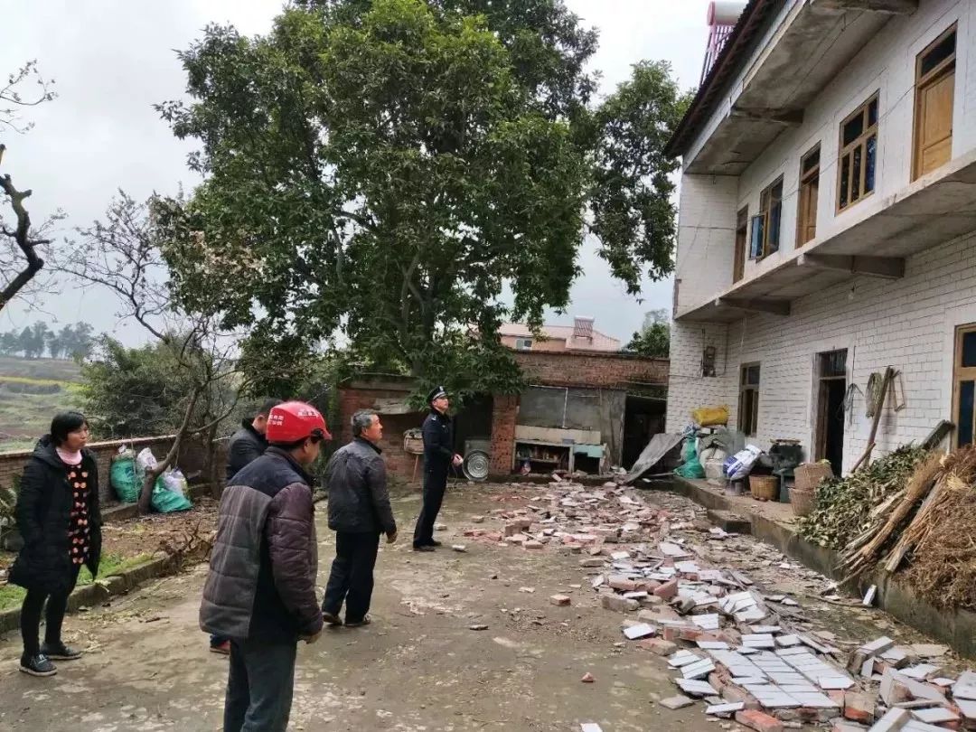 荣县地震最新动态与小巷深处的探秘之旅