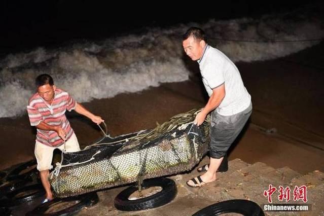 梅州台风实时更新，最新动态与警报通知