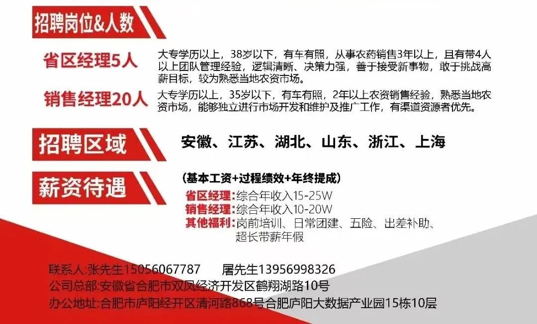 雄安招聘网最新招聘，时代脉搏与人才交响会启动招募之旅